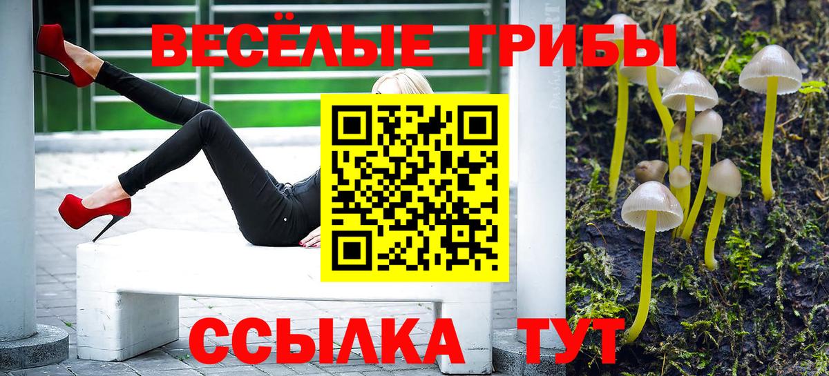 Псилоцибиновые грибы прущие грибы Волхов