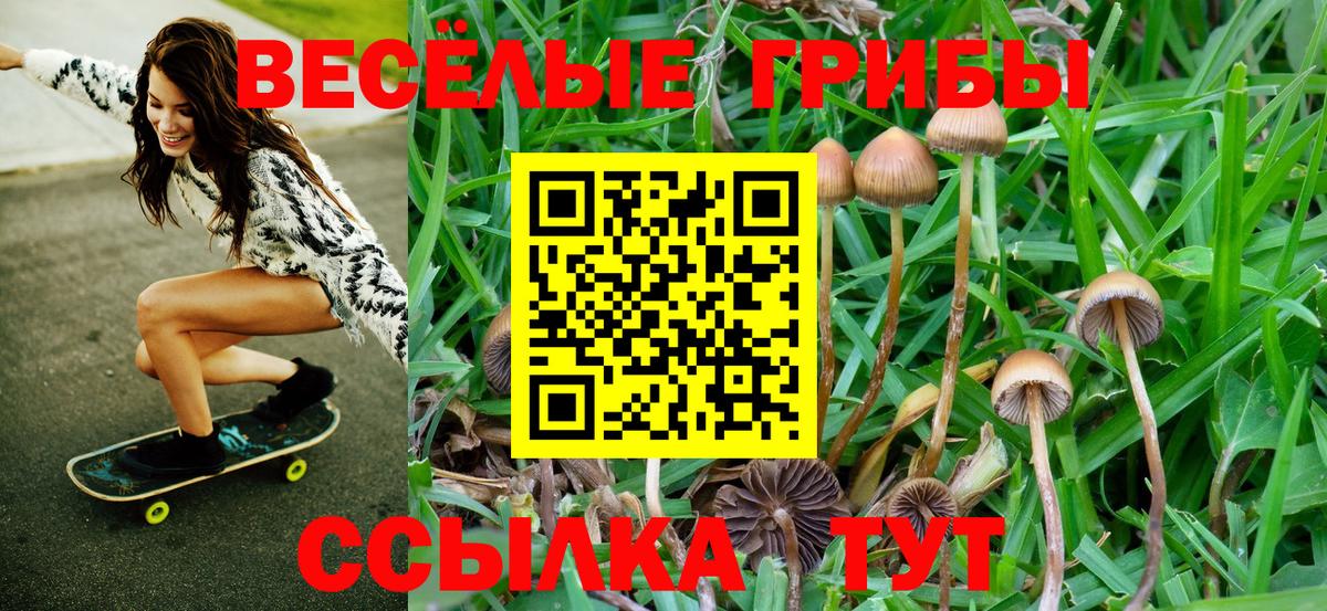 Галлюциногенные грибы прущие грибы  Вход с VPN  Волхов 